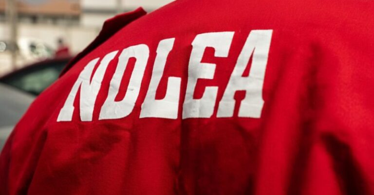 NDLEA-LOGO-e1777374326531 (1)