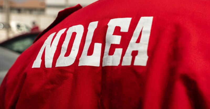 NDLEA-LOGO-e1777374326531 (1)